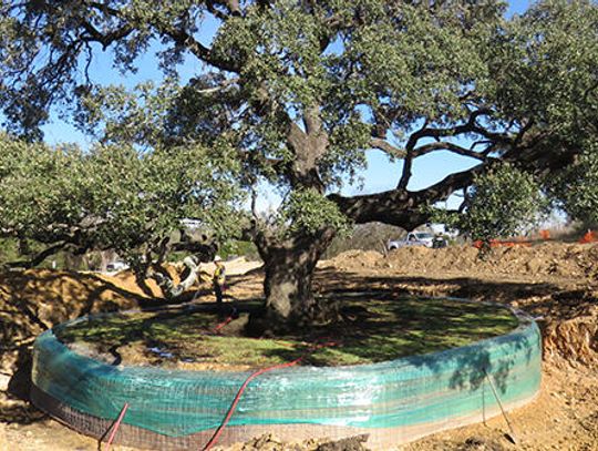 New municipal, library, police building on schedule in Buda