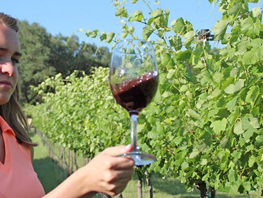 New wine bill demands 100%: Wineries show concern about 100% Texas grape bill