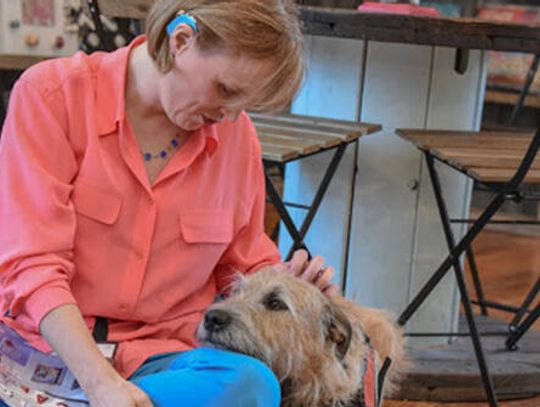 Nonprofit provides snuggles to those in need