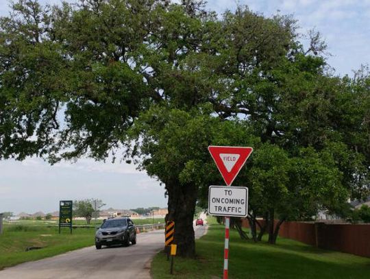 Old Stagecoach Road oak to be removed: Wood to be used for public art