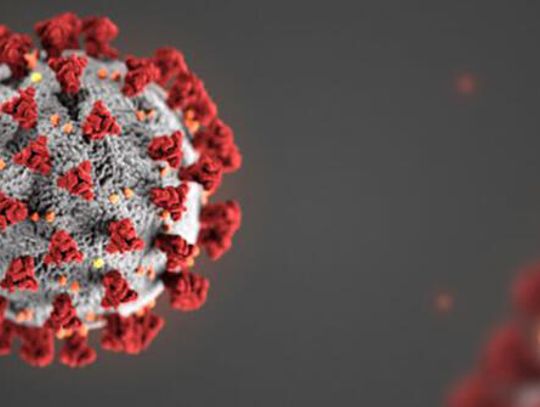 Over 4,775 COVID-19 vaccines administered in Hays County 
