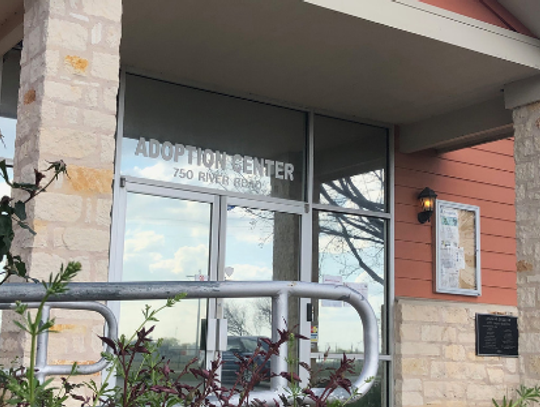 Paws-itive News: County considers second animal shelter