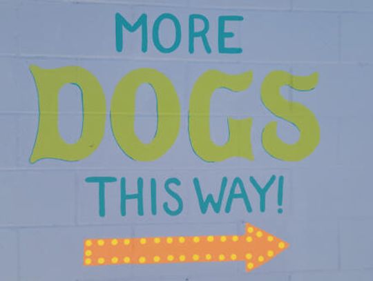 PAWS Shelter celebrates remodel of Kyle location