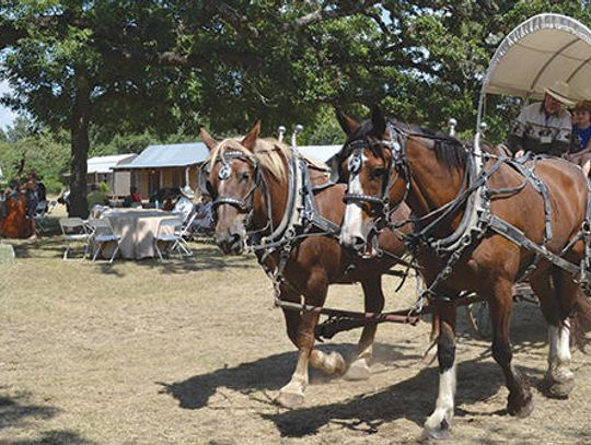 Pioneer Day 2017: Annual event takes visitors back in time