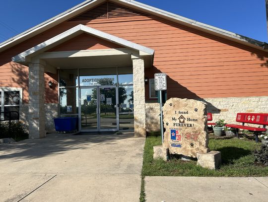Regional animal shelter still overcrowded
