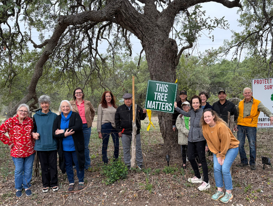 Residents urge Kyle to reconsider tree removal