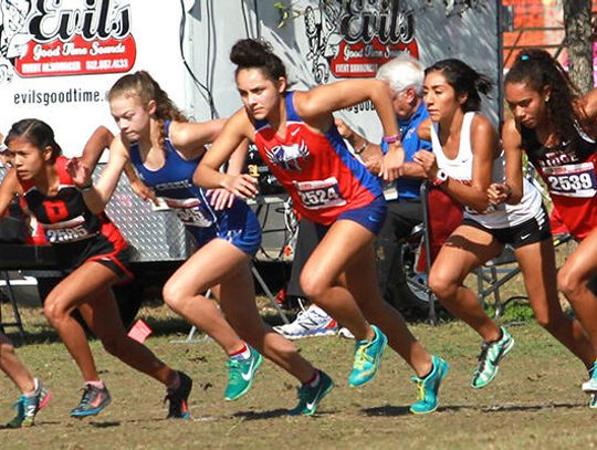Returning Rebels to lead cross country team