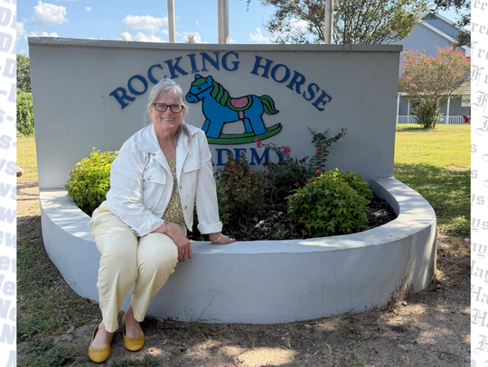 Rocking Horse Academy sold, new company to take over