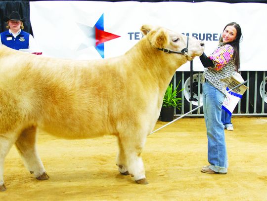 Scenes from the 2025 Hays County Youth Livestock Show