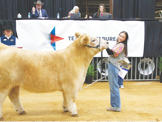Scenes from the 2025 Hays County Youth Livestock Show