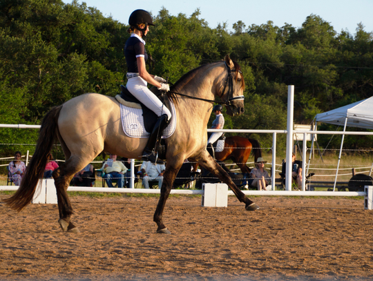Second annual dressage show hosted in Wimberley