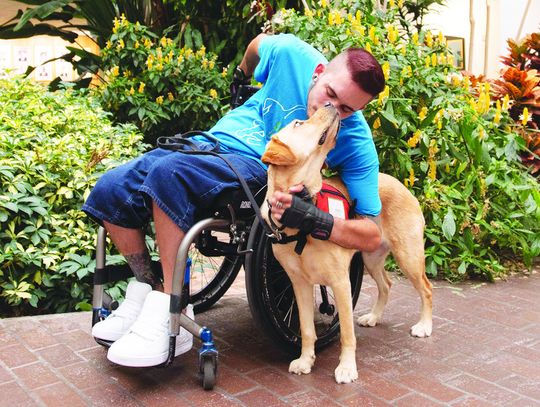 Service Dogs Inc. provides assistance to Hays County