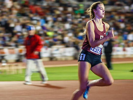 Seven Tigers compete at state track