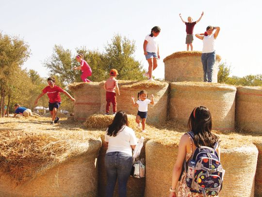 Sights and sounds of fall abound at Uhland Fall Fest