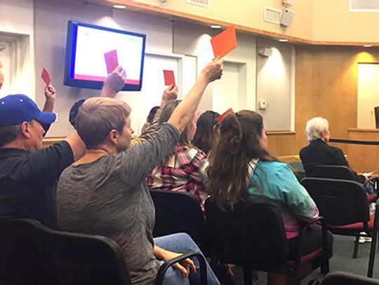 Silent protest: Fluoride debate rages on in Buda