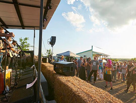 Sowing the seeds of success: Annual festival raises awareness for local farmers