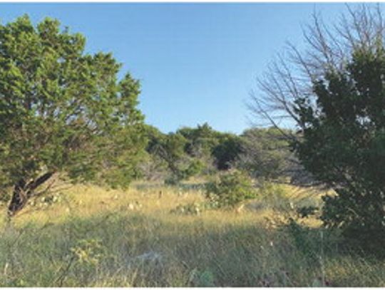 Stewardship Q&A – Mountain Cedar, drought management