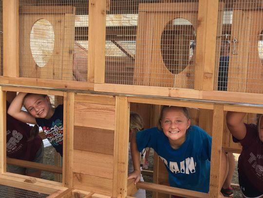 Students complete chicken coop at Sycamore Springs