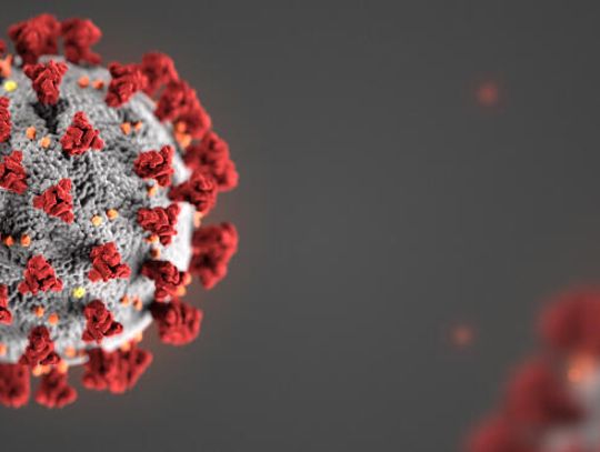 Summer school cause of concern due to virus