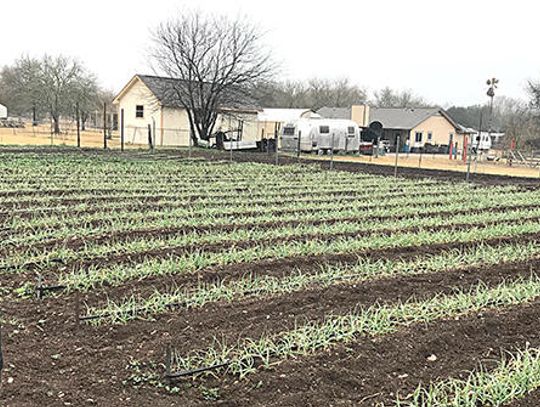 Sustainability key for local farms