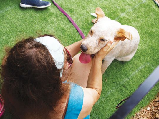Tails wag for Barks & Blooms
