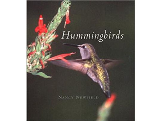 Take care of your local hummingbirds
