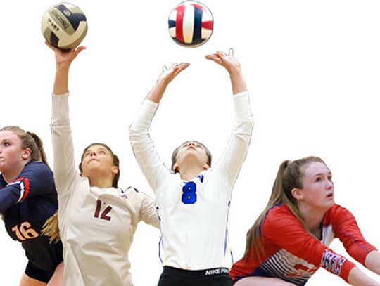 The All Hays Free Press/ News-Dispatch volleyball team