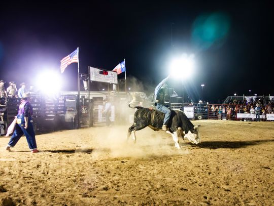 The bulls are back at Buda Rodeo and Fajita Fiesta