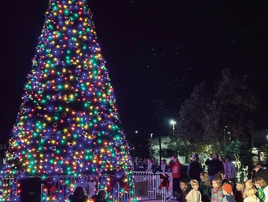 The DS Lions Club lights community tree