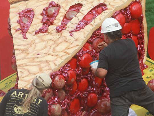The reddening of the cherries