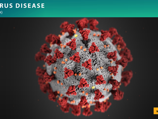 The U.K COVID-19 variant has been detected in Hays County 