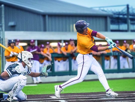 Dripping Springs Tiger baseball advances to semifinals