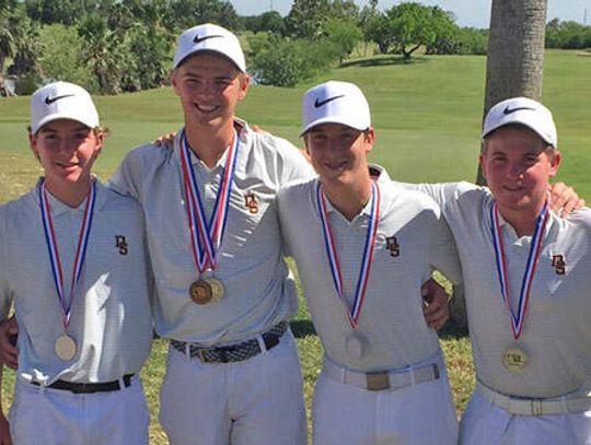 Tiger boys golf punches ticket to state
