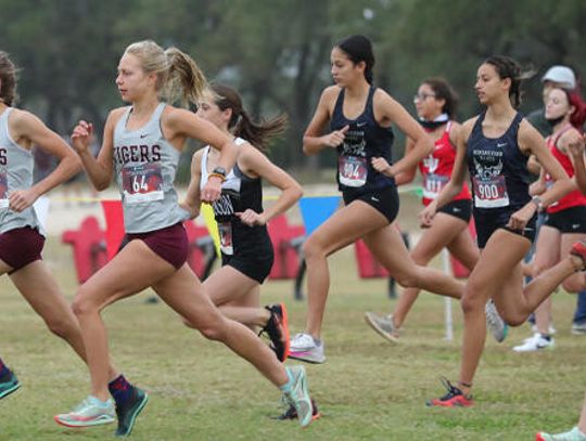 Tiger girls cross country fights for gold at state