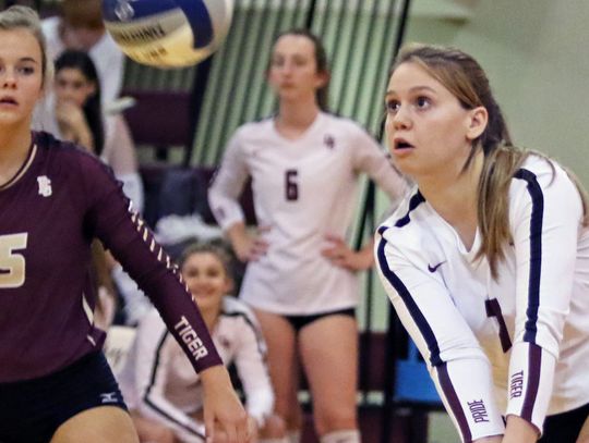 Tiger netters secure 7th straight district crown
