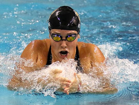 Tiger swimmers make a splash at state meet