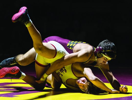 Tiger wrestling is underway