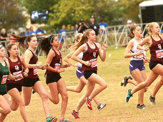 Tiger XC aims for state