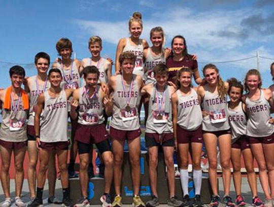 Tiger XC punches ticket to state