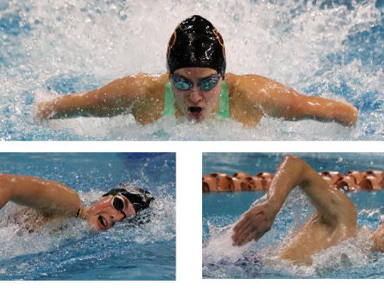 Tigers dive into state swim meet