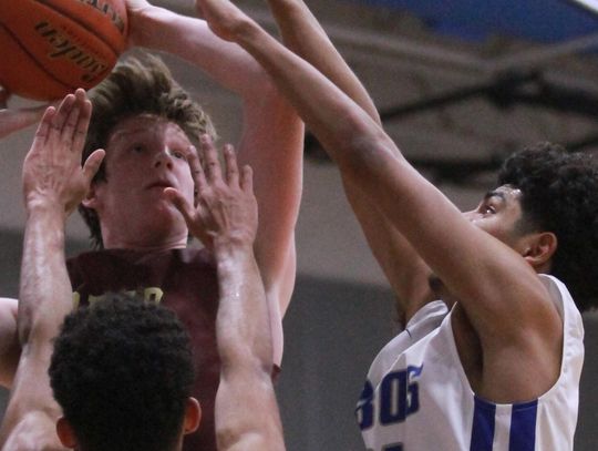 Tigers down Lobos in early season thriller