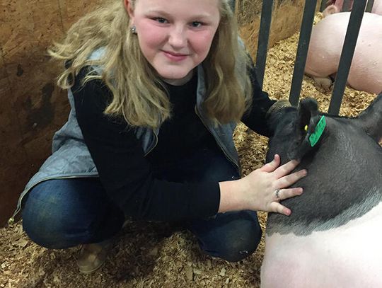 Tigers earn honors at annual Hays County Livestock Show