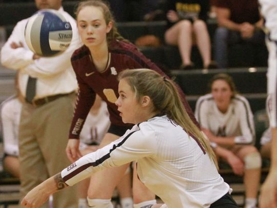 Tigers eliminate Medina Valley in three