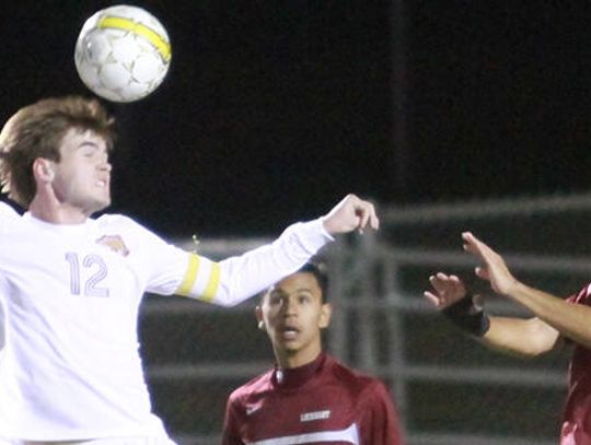 Tigers fall to Lions 3-2