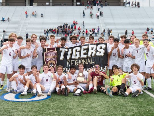 Tigers punch their ticket to state