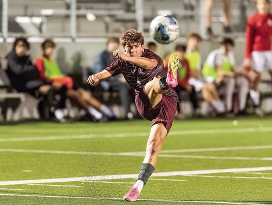Tigers ride high on six-game winning streak