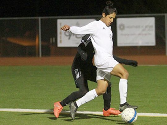 Tigers stomp Panthers in late surge