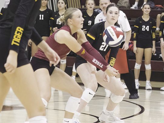 Tigers sweep Bowie Bulldogs