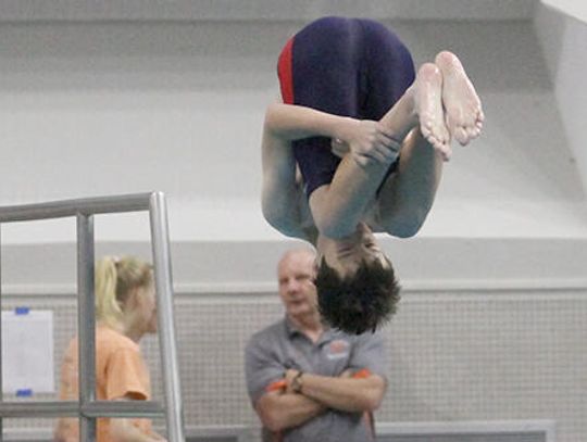 Tigers, Texans swimmers head  to state meet