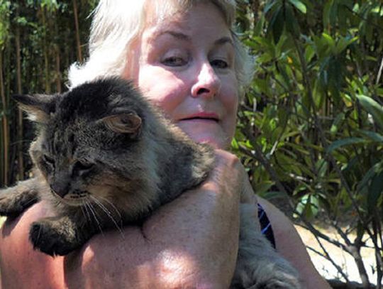 Tomcat inspires City of Hays residents to help ferals